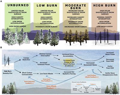 Wildfire impacts on western United States snowpacks